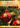 Spirit Of Christmas