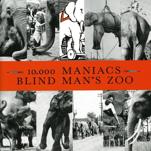 Blind Man's Zoo -- 10,000 Maniacs, CD
