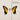 Brand New Eyes