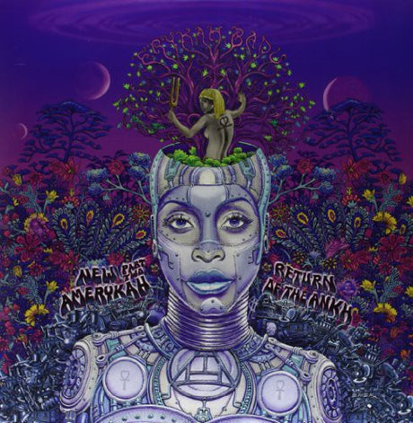 New Amerykah Part Two: Return Of The Ankh, Erykah Badu, LP
