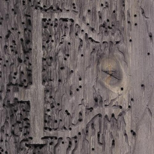 Sleep No More -- DJ Signify, CD