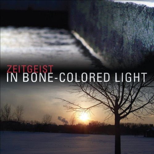 In Bone-Colored Light -- Zeitgeist / Gatto / Medek / Kitzke / Jackanich, CD