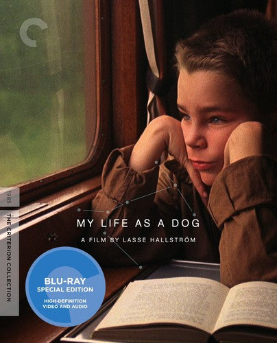 My Life As A Dog/Bd