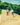 Still Walking/Bd