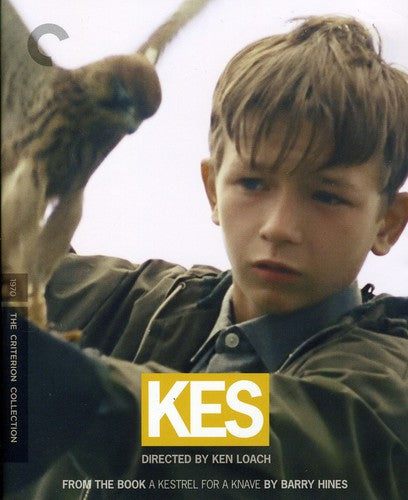 Kes/Bd