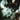 Disintegration: Remastered