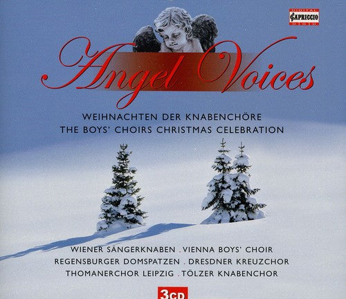 Angel Voices: Boys Choirs Xmas Celebration / Var -- CD