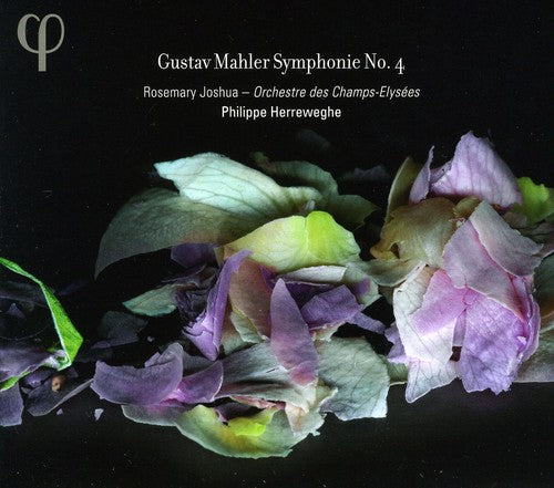 Symphony 4 -- Mahler / Orchestre Des Champs Elysees / Herreweghe, CD