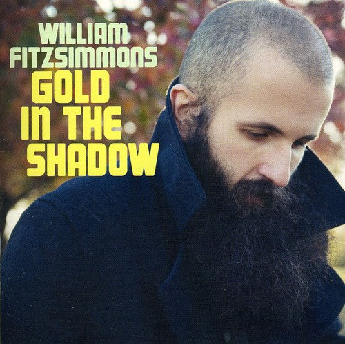 Gold In The Shadow -- William Fitzsimmons, CD