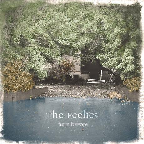 Here Before, Feelies, LP
