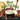 Best Irish Pub Songs / Various