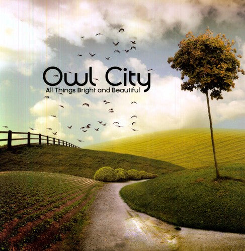 All Things Bright & Beautiful, Owl City, LP