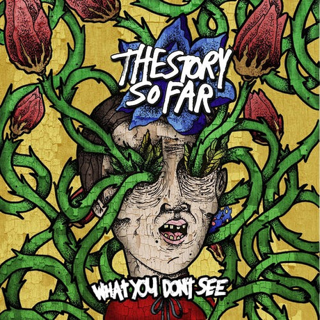 What You Don't See, Story So Far, CD