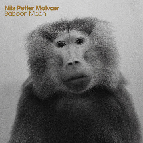 Baboon Moon -- Nils Petter Molvaer, CD