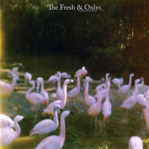 August In MY Mind -- Fresh & Onlys, LP