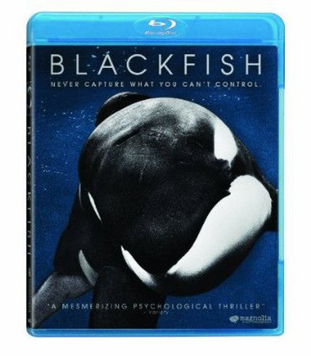 Blackfish Bd
