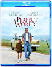 Perfect World