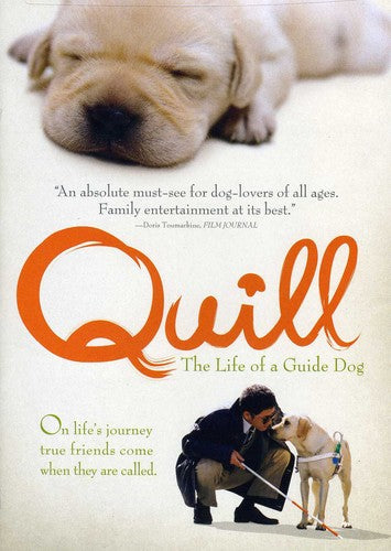 Quill -- DVD