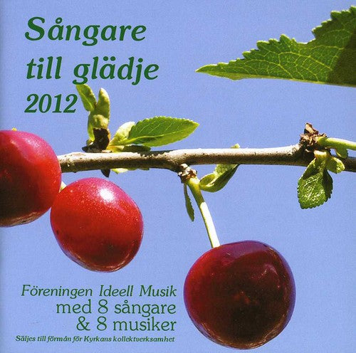 Sangare Till Gladje 2013 / Various -- CD