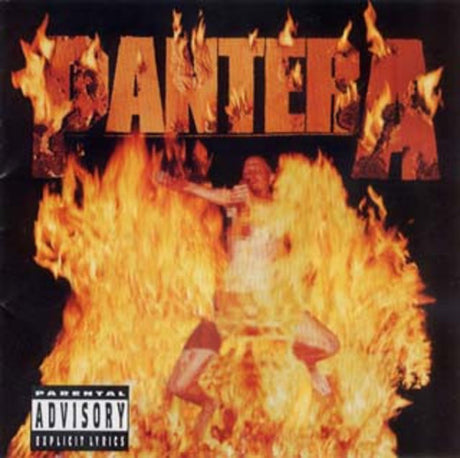 Reinventing The Steel, Pantera, LP