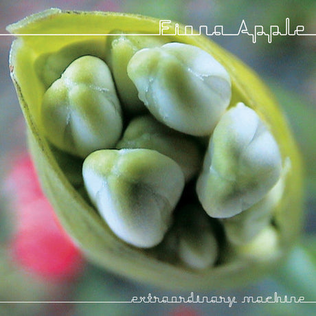 Extraordinary Machine, Fiona Apple, CD