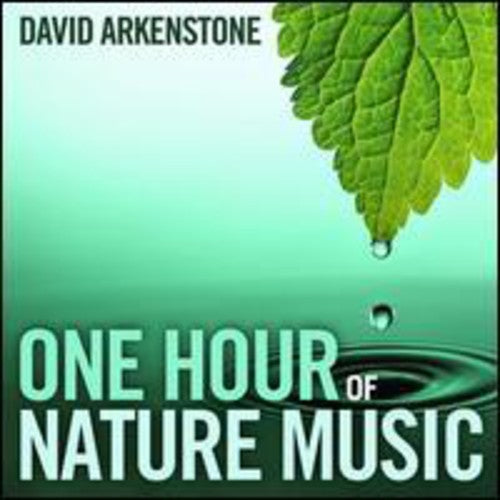 One Hour Of Nature Music -- David Arkenstone, CD