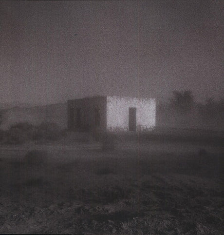 Allelujah Don't Bend Ascend, Godspeed You Black Emperor, LP
