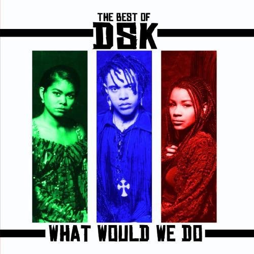 Best Of: What Would We Do -- DSK, CD