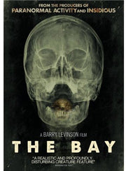 Bay