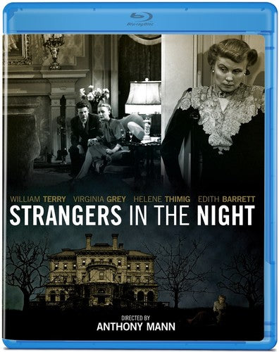 Strangers In The Night