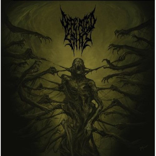 Passages Into Deformity