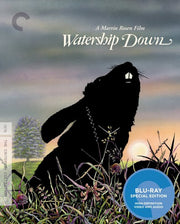 Watership Down/Bd