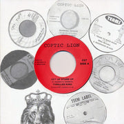 Thriller King - Get Up Stand Up  /  Version (rhythm: "Mike Brooks - Lead Us Jah") - 7"