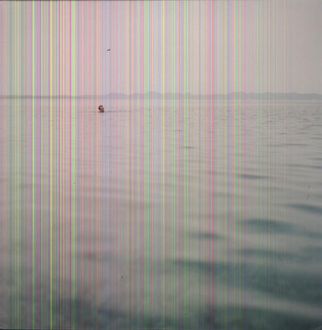 Swim, Blue Cranes, LP
