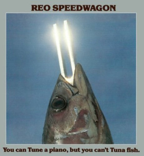 You Can Tune A Piano But You Can't Tune A Fish