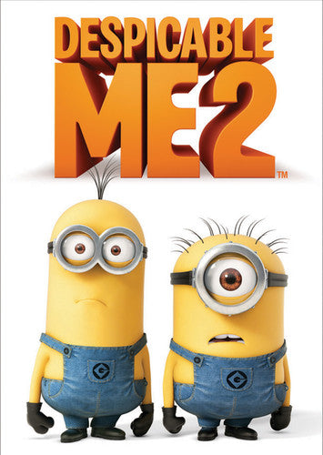 Despicable Me 2, Despicable Me 2, DVD