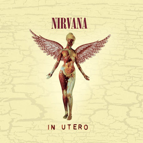 In Utero (20Th Anniversary Edition), Nirvana, CD