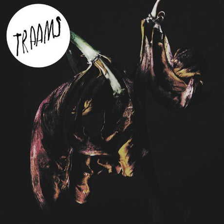 Grin, Traams, LP