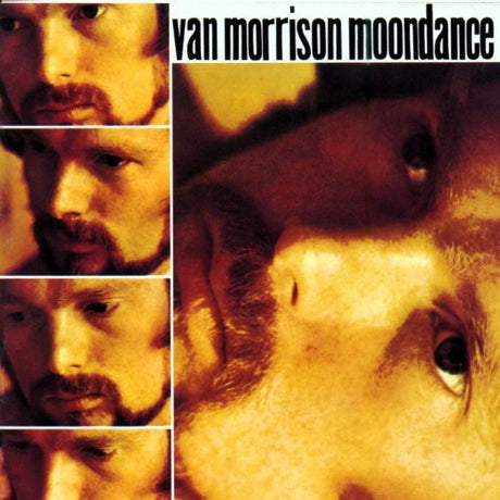 Moondance, Van Morrison, CD