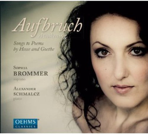 Songs To Poems Of Hesse & Goethe -- Schumann / Brommer / Schmalcz, CD