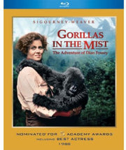 Gorillas In The Mist