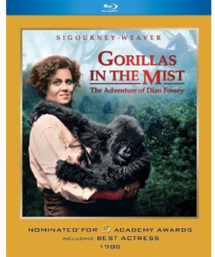 Gorillas In The Mist