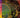 Rainbow Goblins