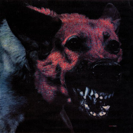 Under Color Of Official Right, Protomartyr, LP