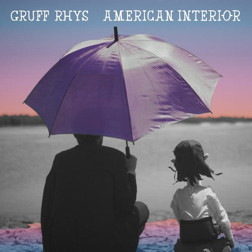 American Interior -- Gruff RHYS, CD