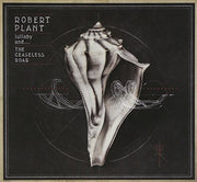 Lullaby & The Ceaseless Roar
