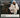 Missy Elliott - Under Construction - CD, CD
