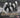 The Swan Silvertones - Move Up (28 tracks) - CD