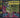 Funkadelic - The Electric Spanking Of War Babies (marked/ltd stock) (remastered) - CD