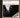 Sonny Terry - Black Night Road - CD